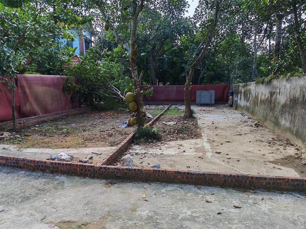 156m2 đất nghỉ dưỡng. không khí vô cùng trong lành mát mẻ