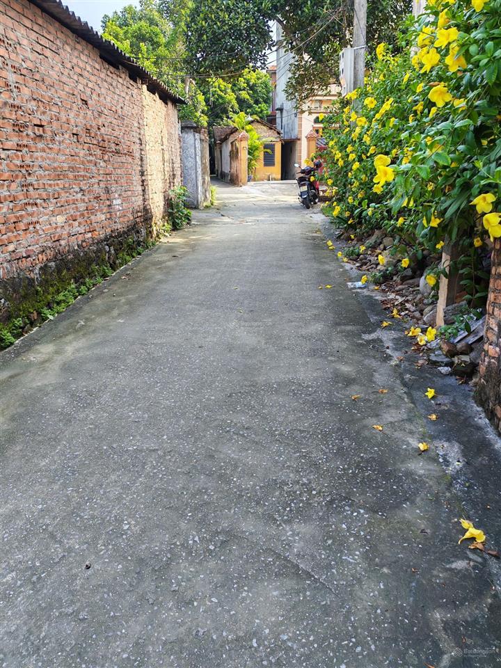 156m2 đất nghỉ dưỡng. không khí vô cùng trong lành mát mẻ