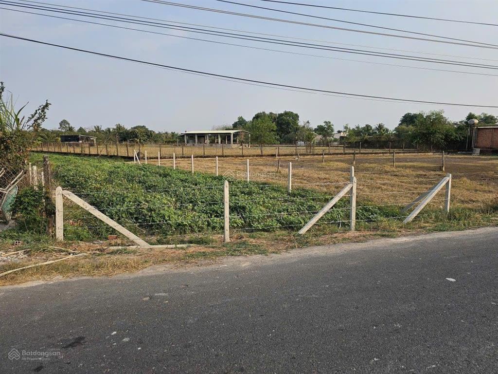 Đất mặt tiền kinh doanh nhựa cầu ô, phước thạnh, tây ninh