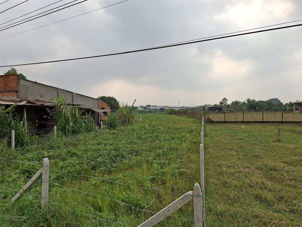 Mặt tiền kinh doanh nhựa cầu ô, phước thạnh, gần cổng chính kcn phước đông, tây ninh