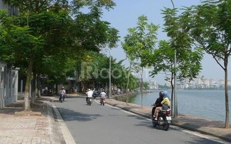 Bán đất lạc long quân  tây hồ  184m  mt 6.8m  ô tô tránh  hơn 50 tỷ