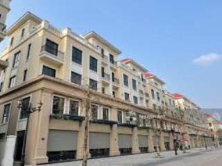 Bán nhanh shophouse 2 mặt tiền trục san hô 51m, vinhomes ocean park