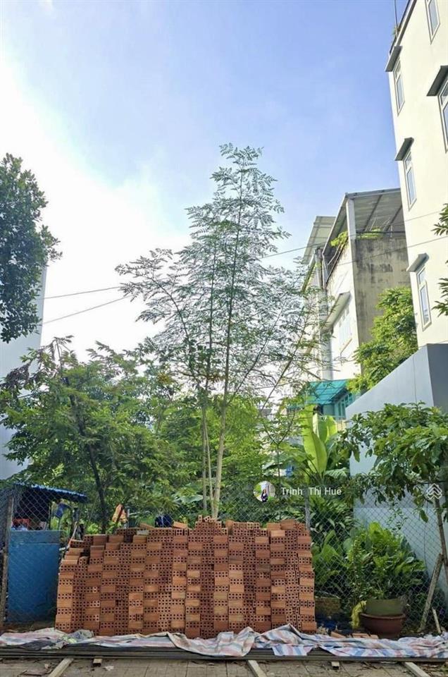 Chỉ 14 tỷ sở hữu lô đất gần vành đai tây, kdc an phú  an khánh, p.bình an q.2  dt5x17.2(86m2)