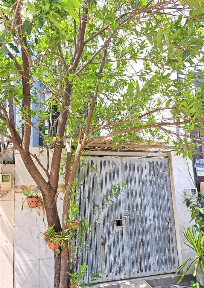 Nhà đẹp ở ngay hẻm xe hơi đối diện vạn phúc city 2 tầng 4x19 chỉ 5,6 tỷ