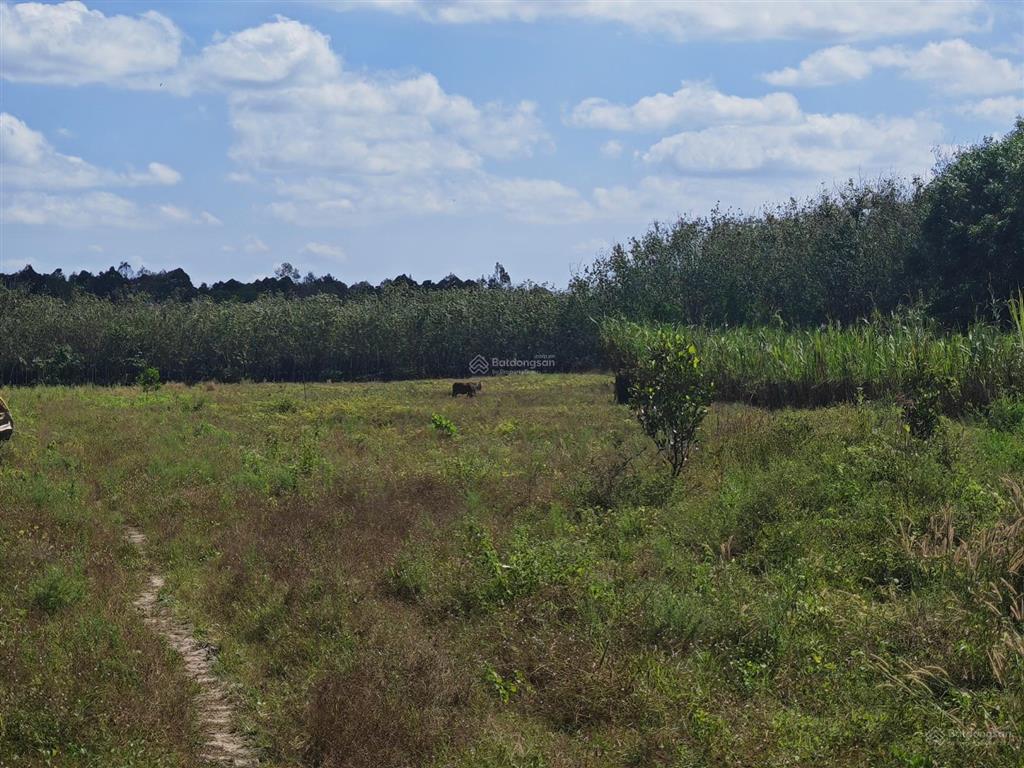 Bán đất tại xã tân hòa, tân châu, tây ninh, 10,5 tỷ, 25853,9m2