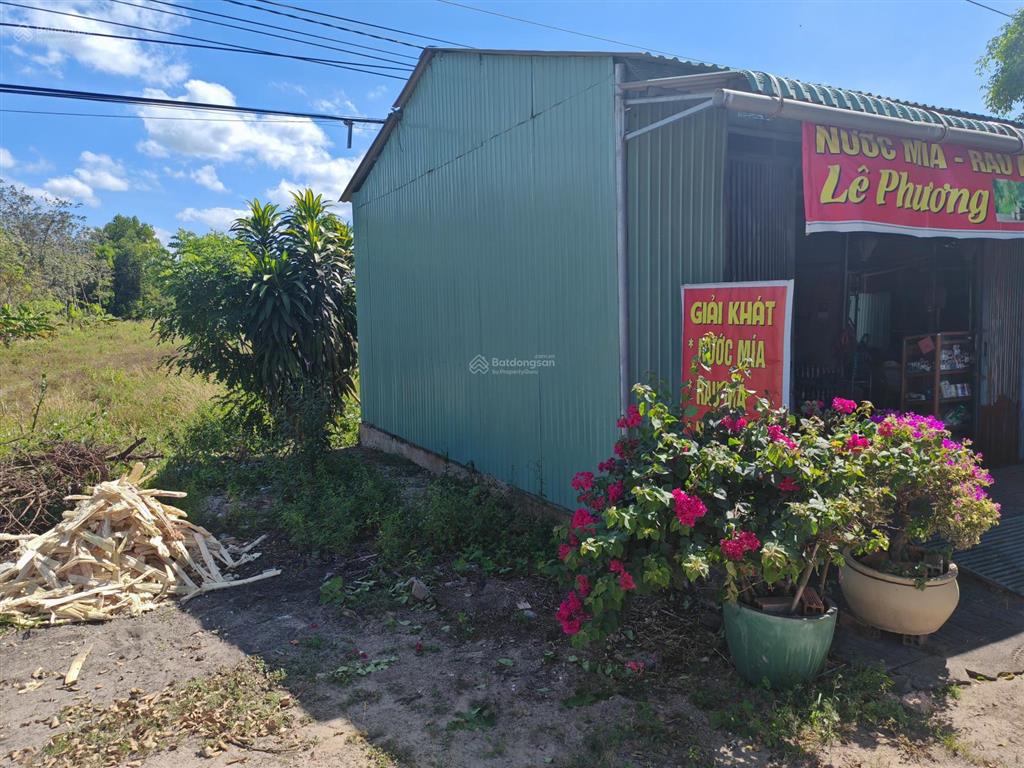 Bán đất tại xã tân hòa, tân châu, tây ninh, 10,5 tỷ, 25853,9m2