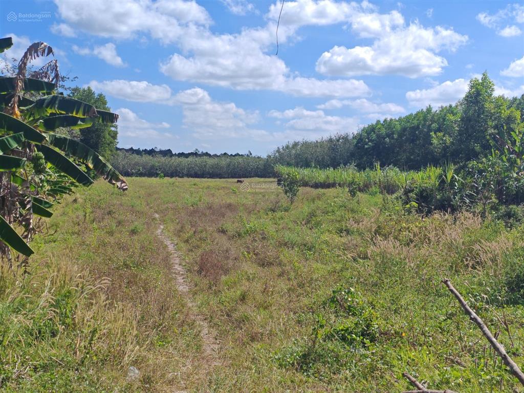 Bán đất tại xã tân hòa, tân châu, tây ninh, 10,5 tỷ, 25853,9m2
