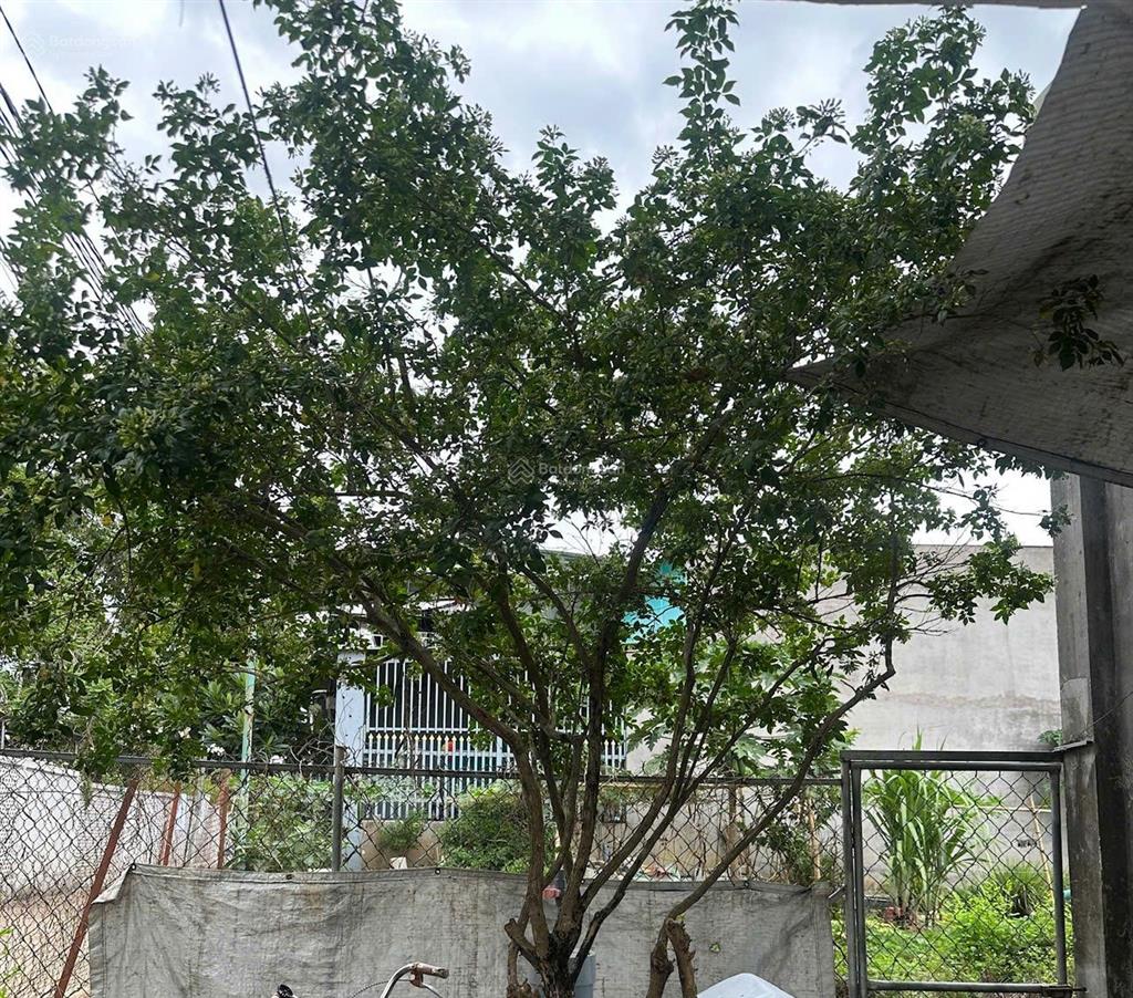 Bán nhà riêng tại xã bình minh 4,5 tỷ, 593m2, bình minh, trảng bom, đồng nai