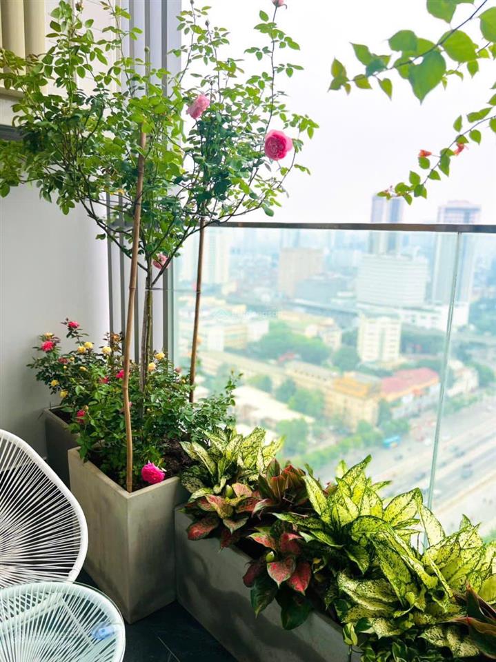 Bán nhanh căn góc 3pn 113m2 az lâm viên. full nội thất siêu đẹp. tầng trung. giá 10,8 tỉ.