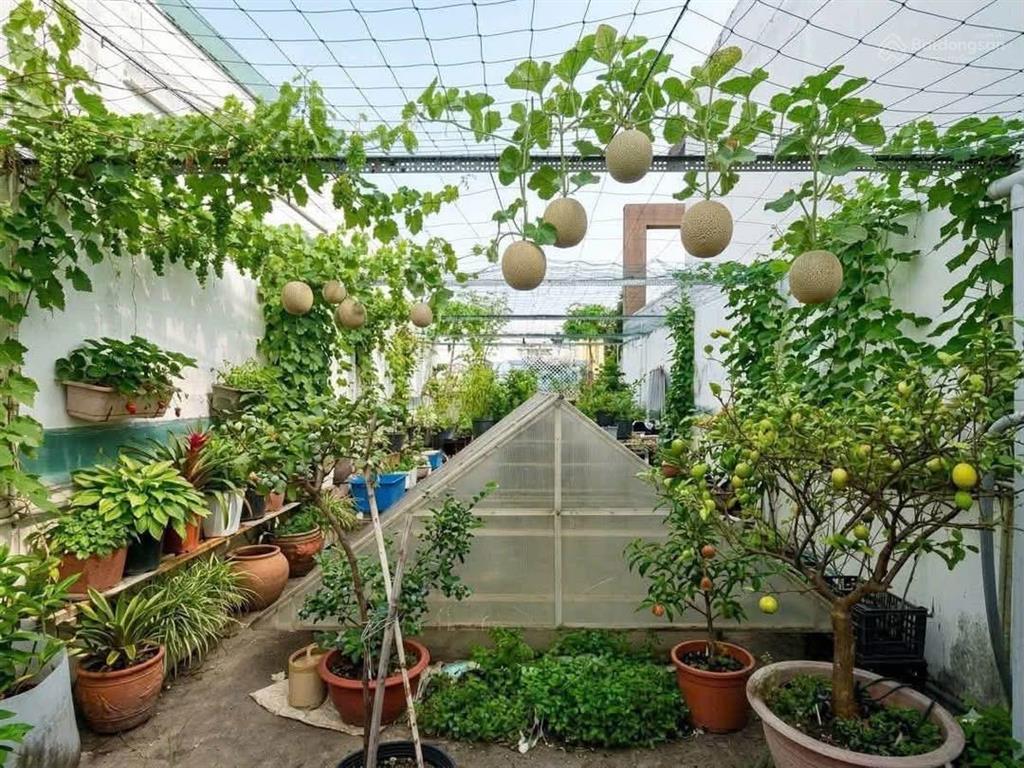 Đất lành chim đậu khu cư xá nguyên hồng, bình thạnh siêu hiếm ở trung tâm sg