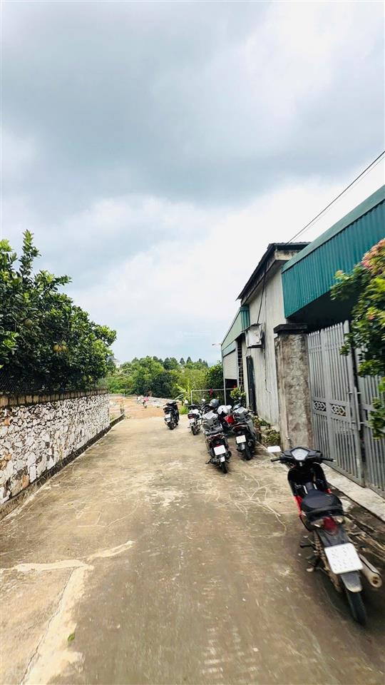 Đất nền lạc thuỷ hoà bình giá cực tốt chỉ 310 triệu, diện tích 50m2 full thổ cư