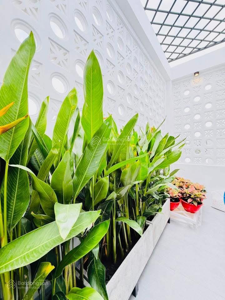 Nhà diện tích khủng 81,2m2. đường an bìnhquận 5, 4tỷ290 đang cho thuê 24tr, gần bệnh viện an bình