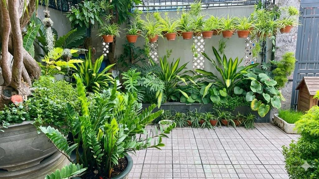 Ngang 6m x dài 20m công nhận đủ  quốc hương, quận 2. đường 8m xe hơi đỗ trong nhà