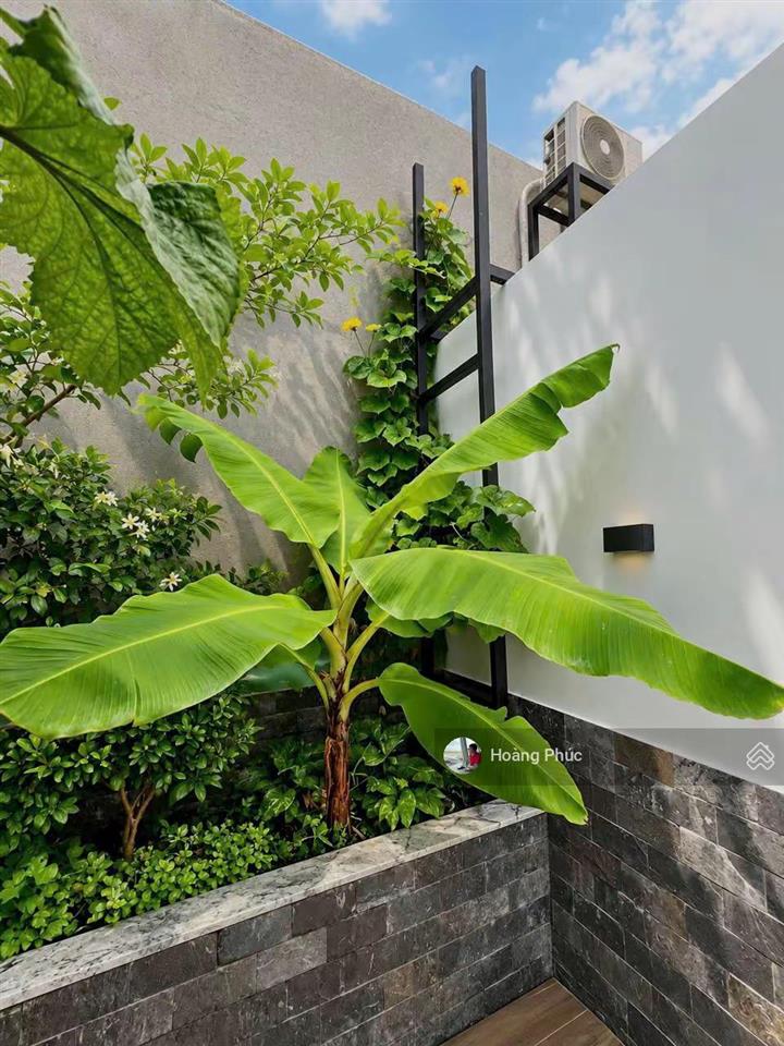 3 tỷ 850 thoại ngọc hầu  tân phú 48m2 thích hợp cho cô chú thích mãn xanh, hẻm đẹp 5pn  4nvs