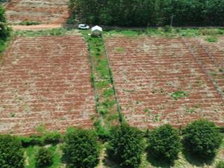 Bán đất giá rẻ lộc ninh củ nay thuộc tỉnh đồng nai mới giá 230tr nền.