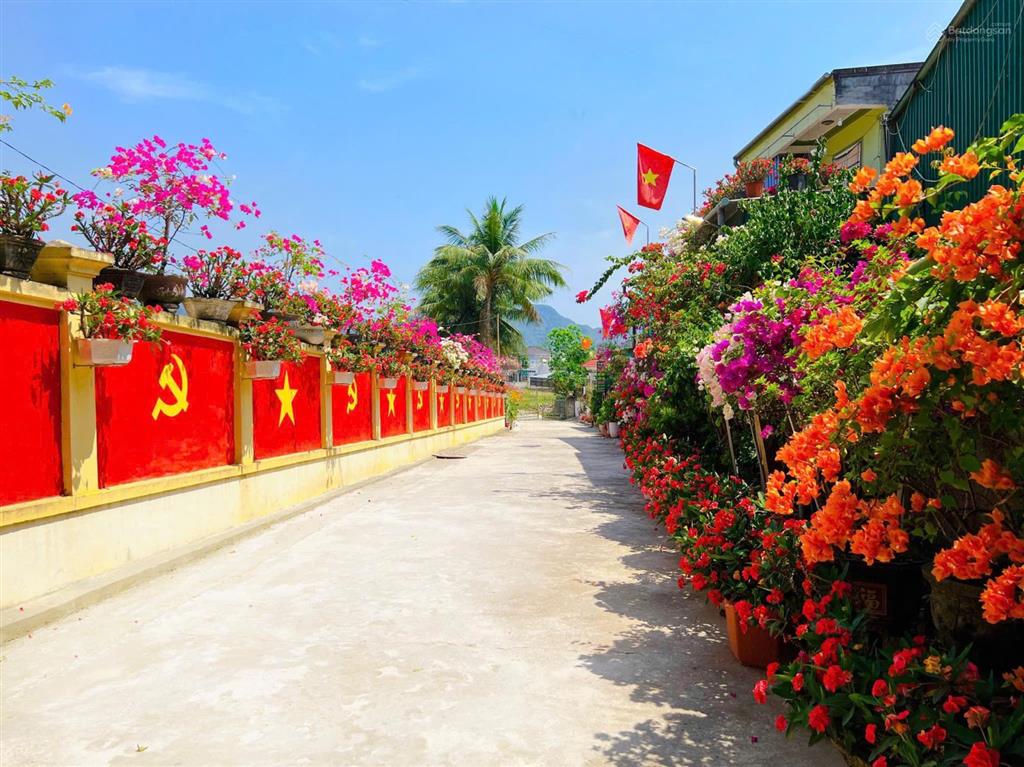 Siêu phẩm nhà cho thuê dòng tiền 50m2 giá chỉ 9.95 tỷ rẻ nhất khu vực
