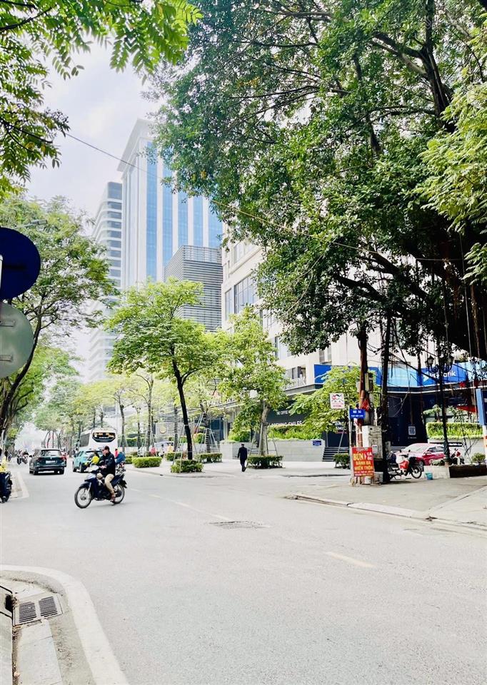 Đất vàng ba đìnhmặt ngõô tô tránh2 thoángmặt tiền 7,5mđầu tư xây apartment 9 tầng dt 11