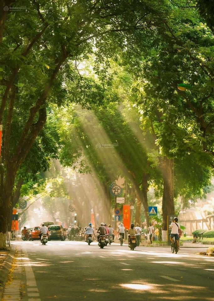 Mặt phố cổdân xâyoto tránhvỉa hèkinh doanh 24/7dòng tiền ổn địnhgần hồ tâyba đình 037