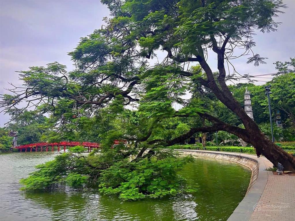 Phố cổ, sát phố, gần hồ gươm cơ hội đầu tư khai thác hometay, sở hữu 36m2 nhỉnh 7tỷ hoàn kiếm sổ đỏ