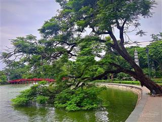 Phố cổ, sát phố, gần hồ gươm cơ hội đầu tư khai thác hometay, sở hữu 36m2 nhỉnh 7tỷ hoàn kiếm sổ đỏ