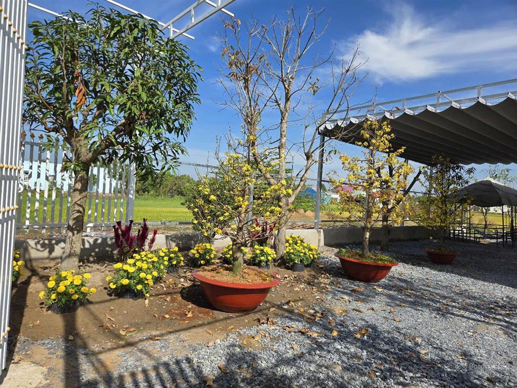Chính chủ bán đất đường 3/2 gần vin green paradises hậu nghĩa, đức hòa, long an