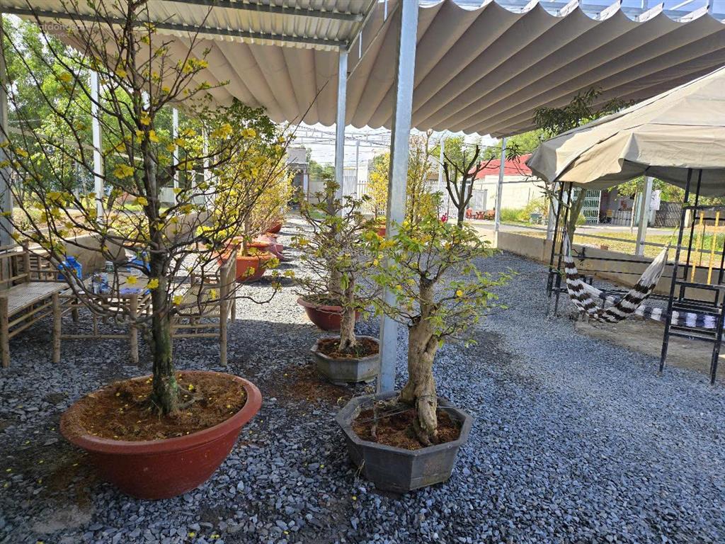 Chính chủ bán đất đường 3/2 gần vin green paradises hậu nghĩa, đức hòa, long an