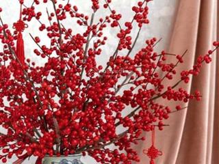 Cho thuê nhà nguyên căn hoàng hoa thám 37m giá chỉ 13 triệu