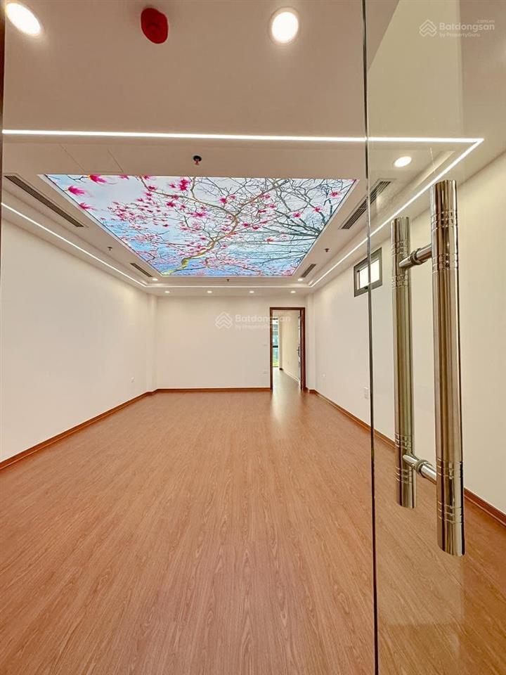 Sống đẳng cấp phân lô nguyên hồng, 72m2. xây mới koong, thang máy, nội thất nhập khẩu, vỉa hè 3m