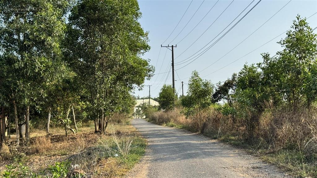 Bán 3 lô đất ở phước bình, long thành