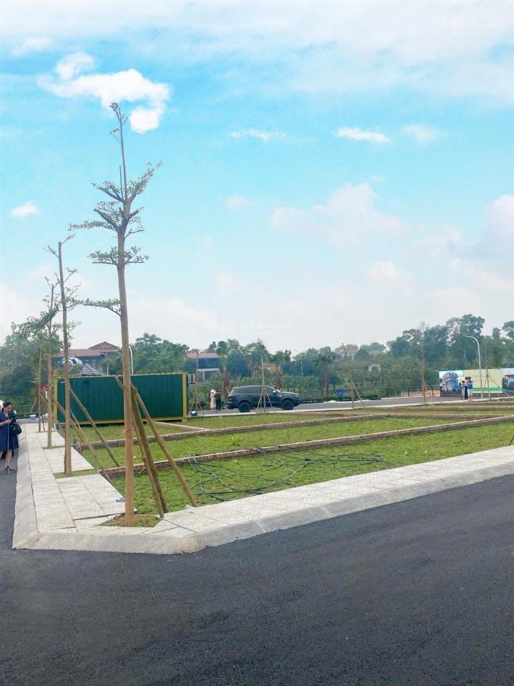 Cc chịu cắt lỗ gửi bán đất ở cổ đông, hoà lạc cơ hội đầu tư đón sóng 2026