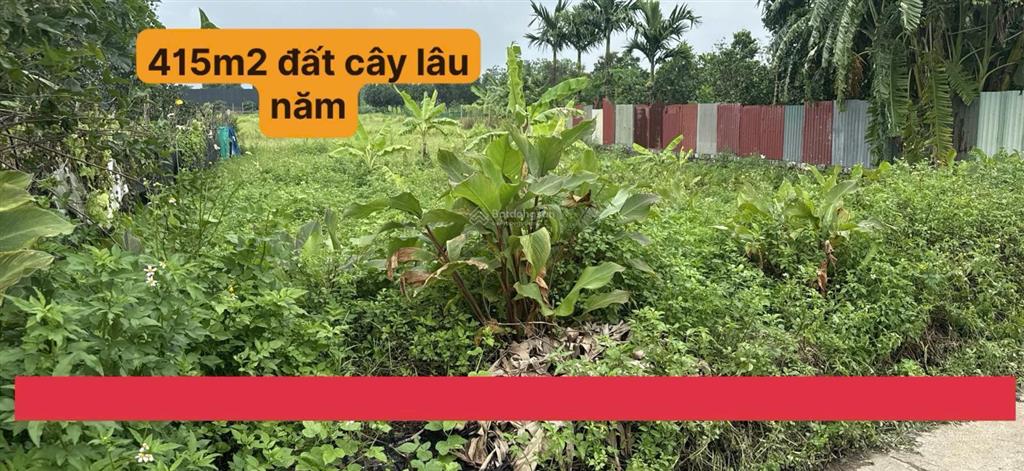 Bán đất trồng cây hàng năm giá rẻ ở sài sơn, quốc oai, hà nội