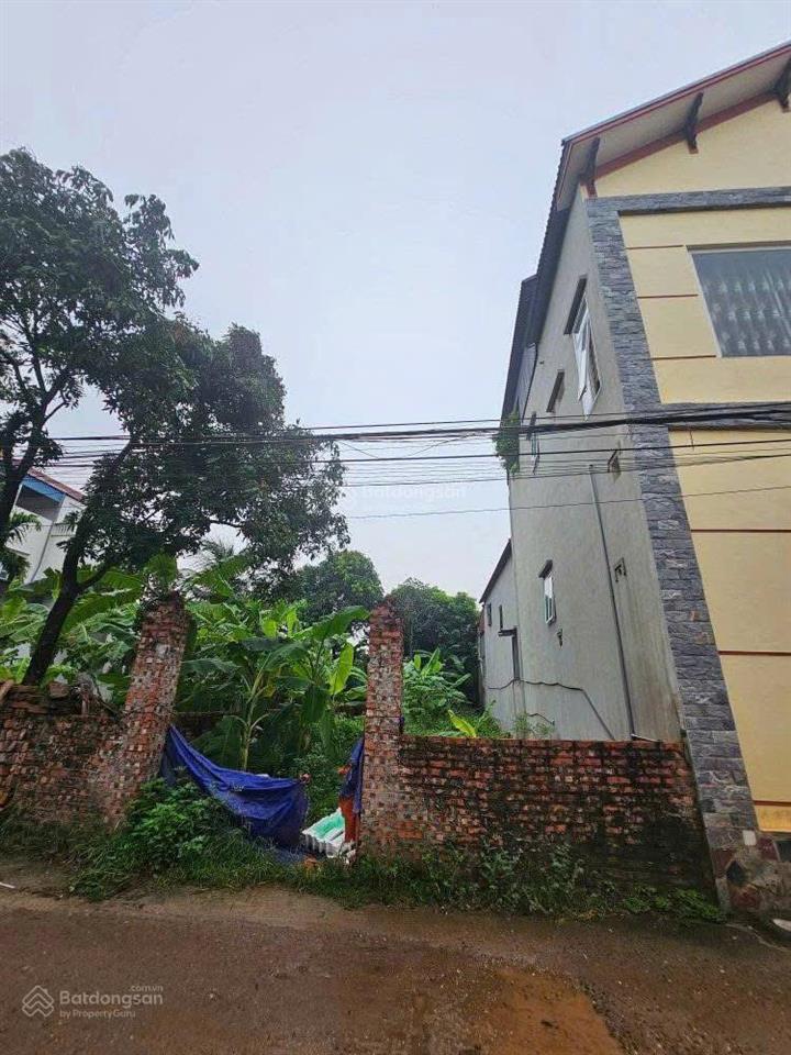 Chính chủ cần bán mảnh đất tân dân sóc sơn 150m2 ô tô tránh gần đường vành đai 4 giá 32 tr/m2
