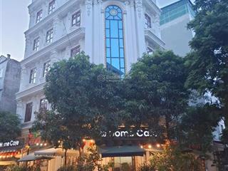 Bán 120m2, mt 6m, đất đấu giá, sát đường phùng hưng, hà đông, 250tr/m2, phân lô, vỉa hè, ô tô tránh