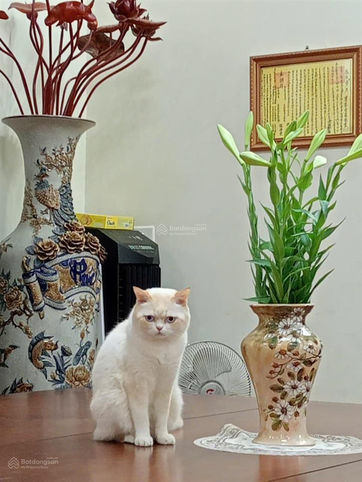 Bán nhà thông tầng, tầng 1 và 2 tại kđt văn khê, hà đông, 210m2, giá đầu tư
