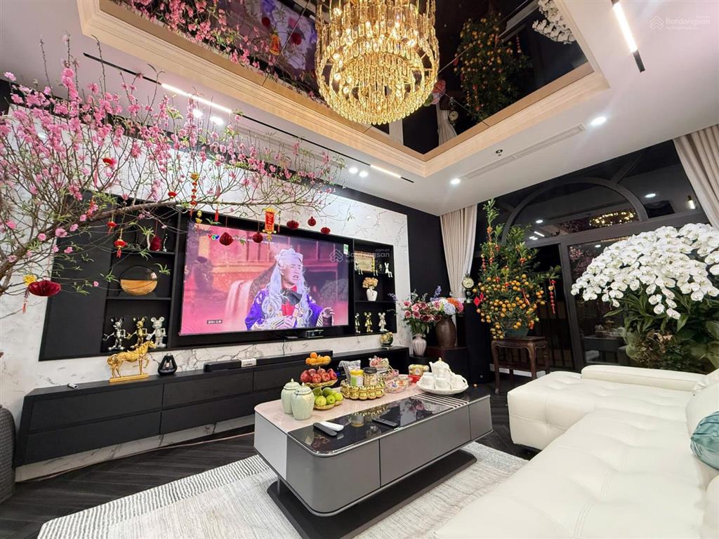Rẻ như cho, 66m2, 4 tầng, thang máy, giá chỉ 10,2 tỷ, tại lương thế vinh, thanh xuân, hà nội