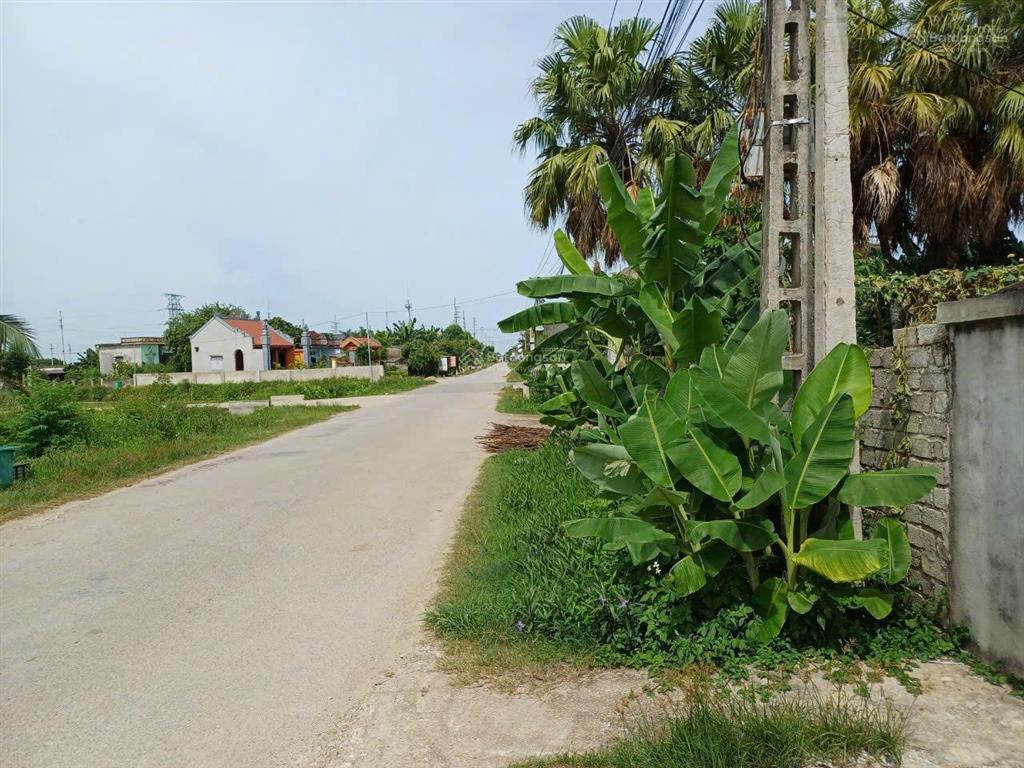 Bán đất thổ cư chính chủ tại đường lĩnh trường, xã tiên trang, thành phố thanh hóa