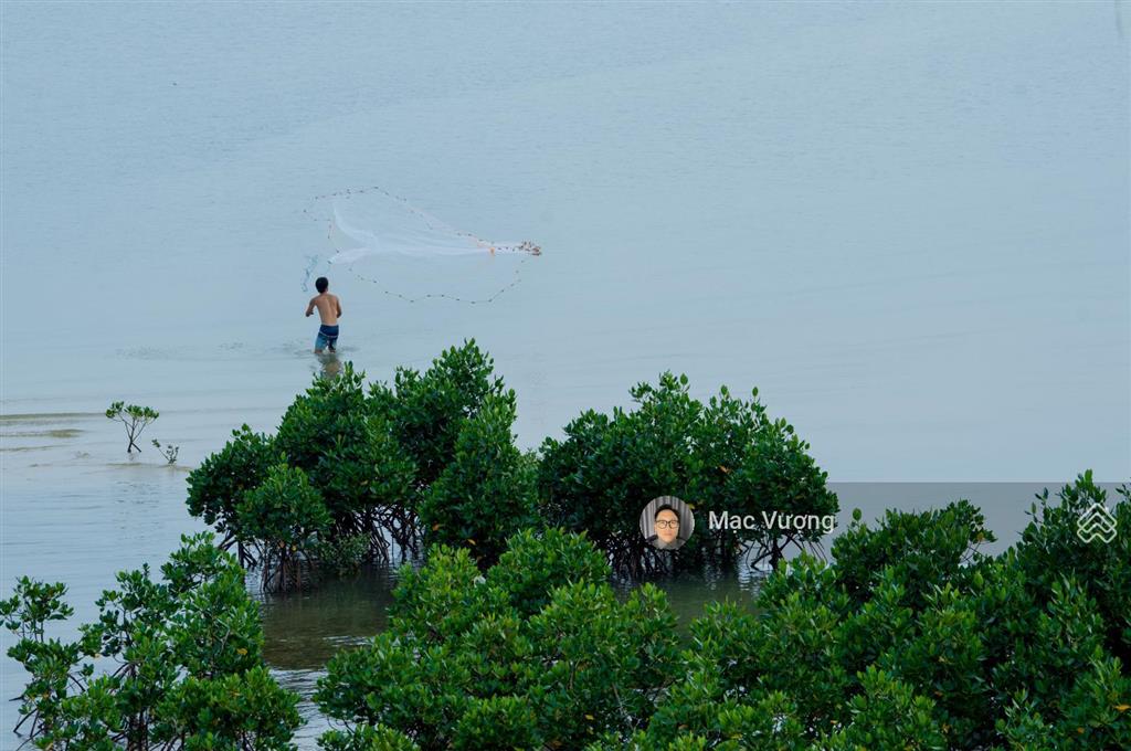 Căn góc độc nhất 3 mặt giáp biển harbor bay hạ long  hoàn thiện full khách sạn vận hành được ngay