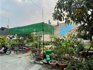 Đất shr 2/liên ấp 26 16*15m đường 5m thông  0762 717 *** xem đất ạ