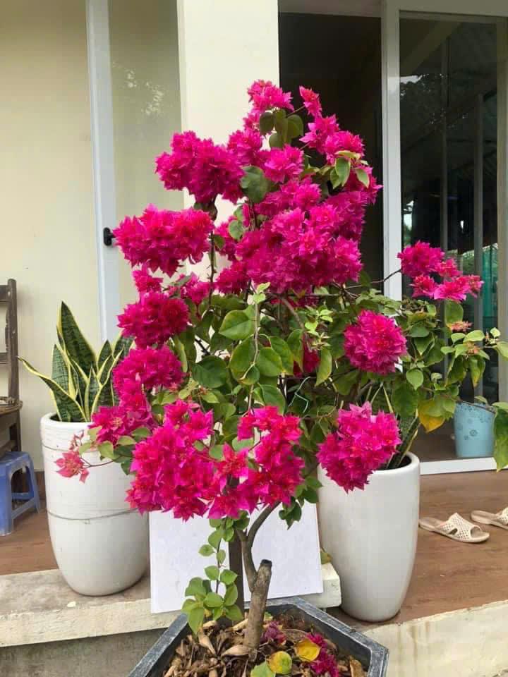 CHÍNH CHỦ CẦN BÁN NHÀ 4 TẦNG MẶT ĐƯỜNG AN ĐÀ – HẢI PHÒNG Gần Trường Đại học Y Dược Hải