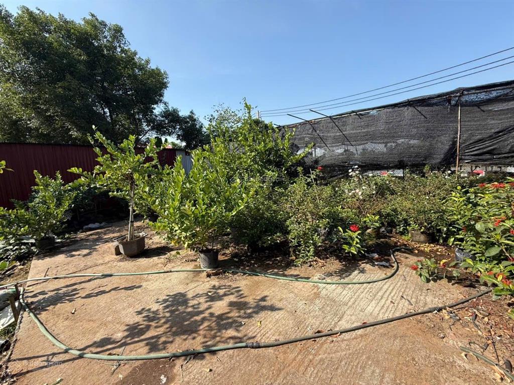 Bán 100m2 đất lại ốc view hồ gần trường đại học mở hà nội. gần khu đô thị ecopark