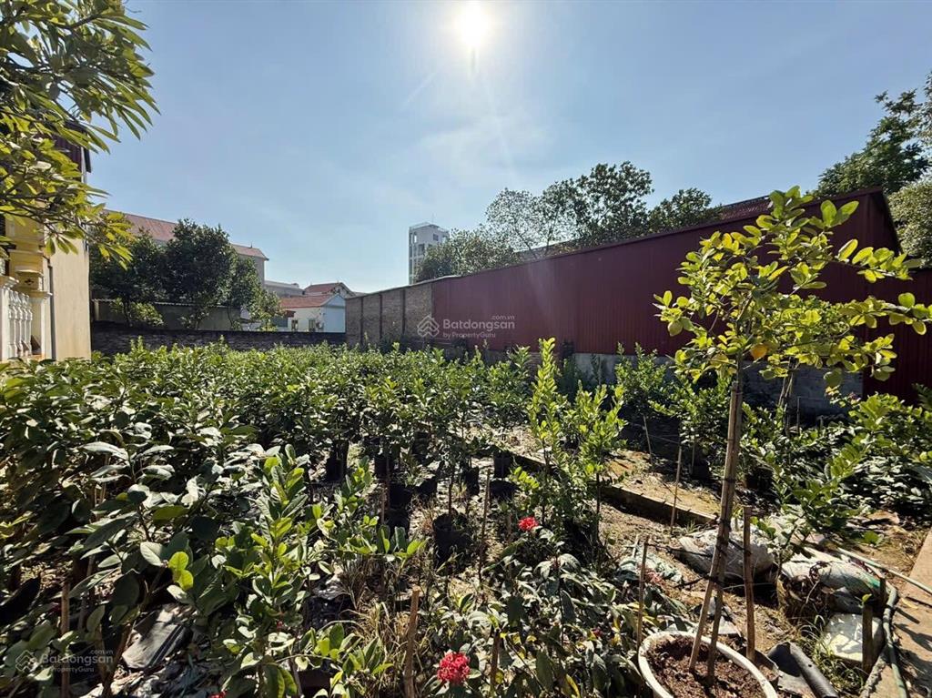 Bán 100m2 đất lại ốc view hồ gần trường đại học mở hà nội. gần khu đô thị ecopark