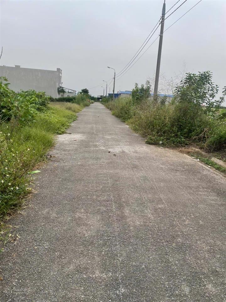 Bán đất chính chủ 125,6m2 ở trực trang an lão