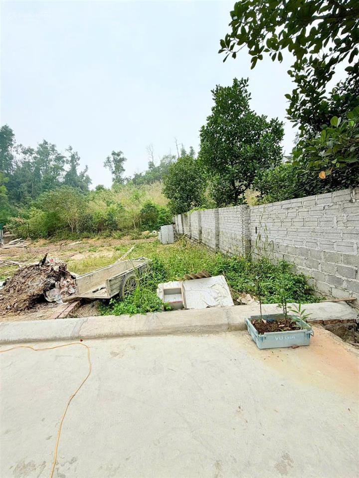 Bán cắt lỗ lô đất tại thị trấn trường sơn, giá rẻ cho các nhà đầu tư thông thái.