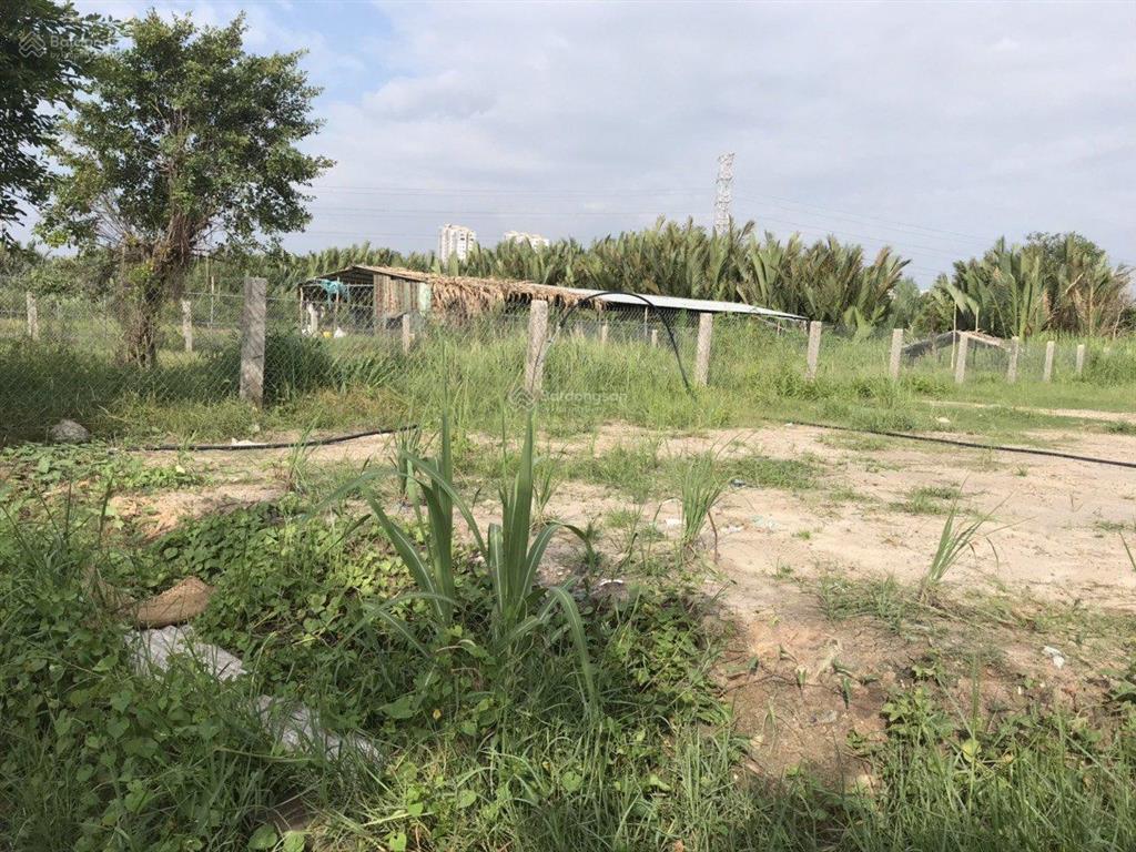 1500m2 full thổ cư ngang 25m nhỉnh 30 tỷ phạm hữu lầu, nhà bè sát phú mỹ hưng