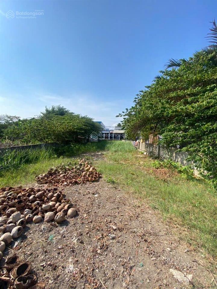 Bán đất cao không ngập mặt tiền đường view sông bờ kè đã làm,thổ cư xây dựng tự do.gần 3 trường đh