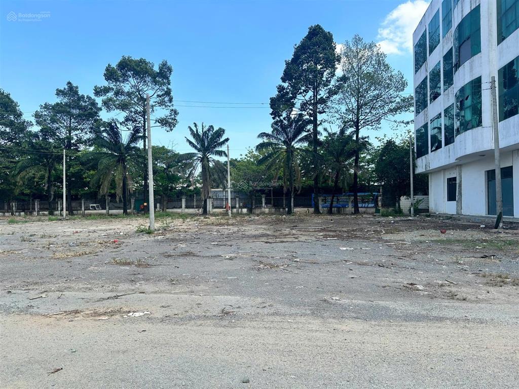 Cho thuê 4000m2 đất trống, bãi xe container, chành xe giá chỉ 30k/m2/th, ql1a, bình tân