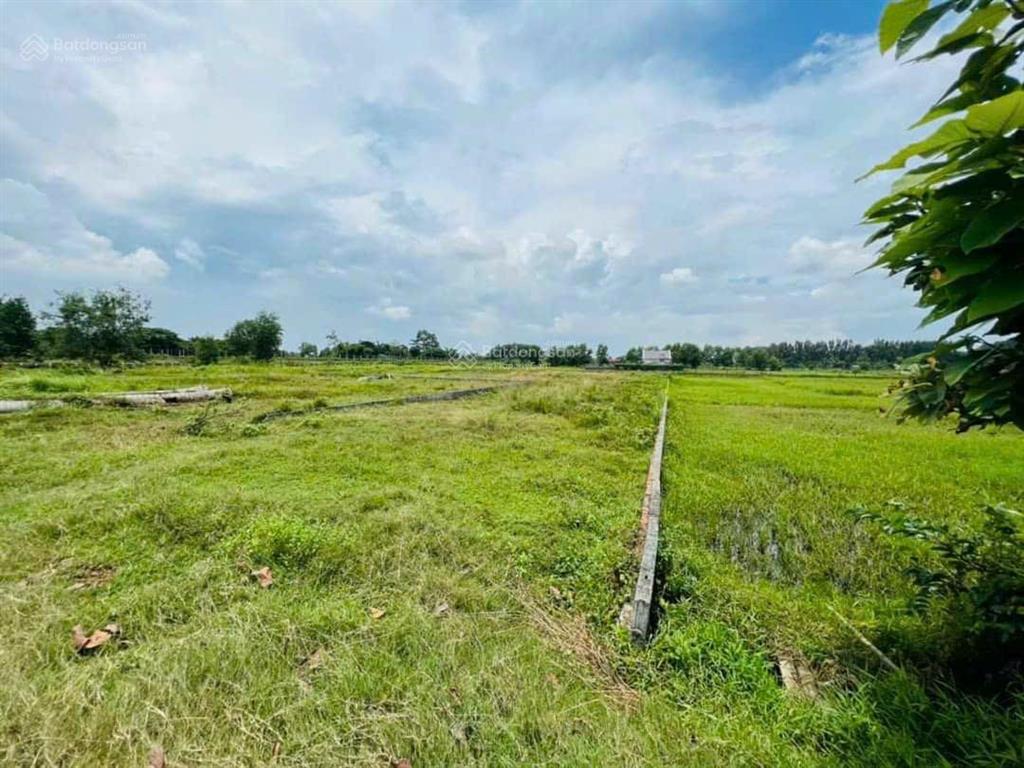 Cần bán 2000m2 đất 100% thổ cư, xã tân an hội (phước hiệp cũ)