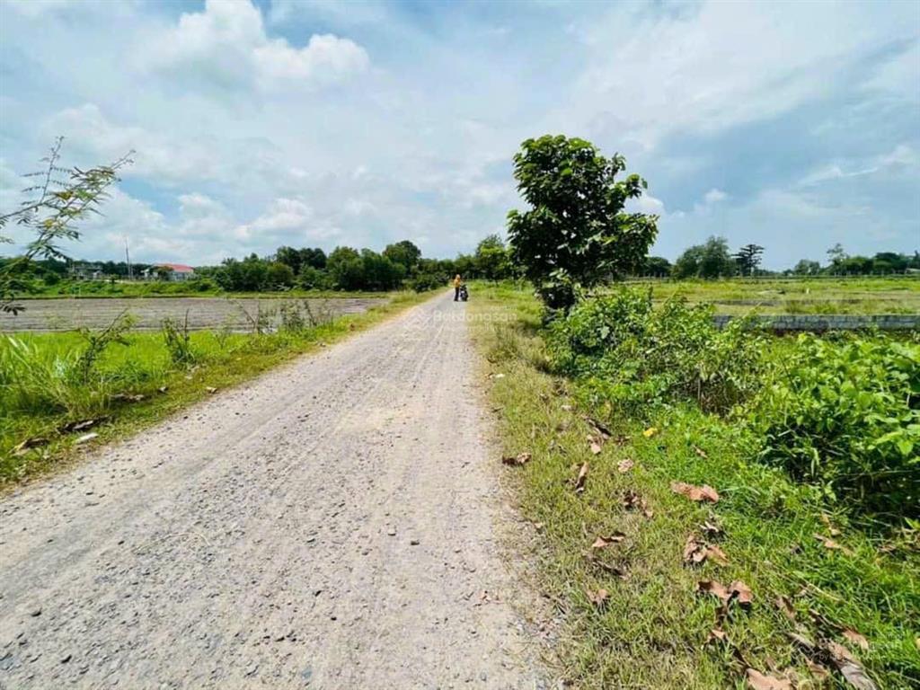 Cần bán 2000m2 đất 100% thổ cư, xã tân an hội (phước hiệp cũ)