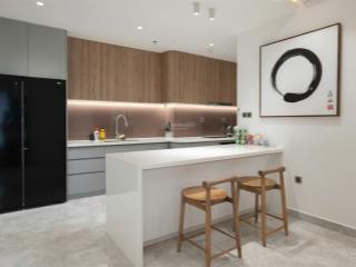 Cho thuê căn hộ midtown phú mỹ hưng nội thất cao cấp 2pn, 26tr/tháng, view villa, lầu cao cực mát