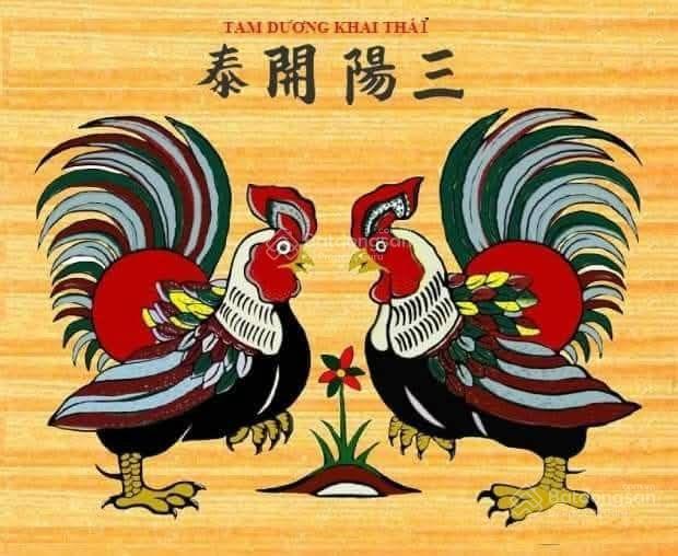 Tòa chdv 37 phòng thu nhập 3,6 tỷ/năm thanh đa  bình quới